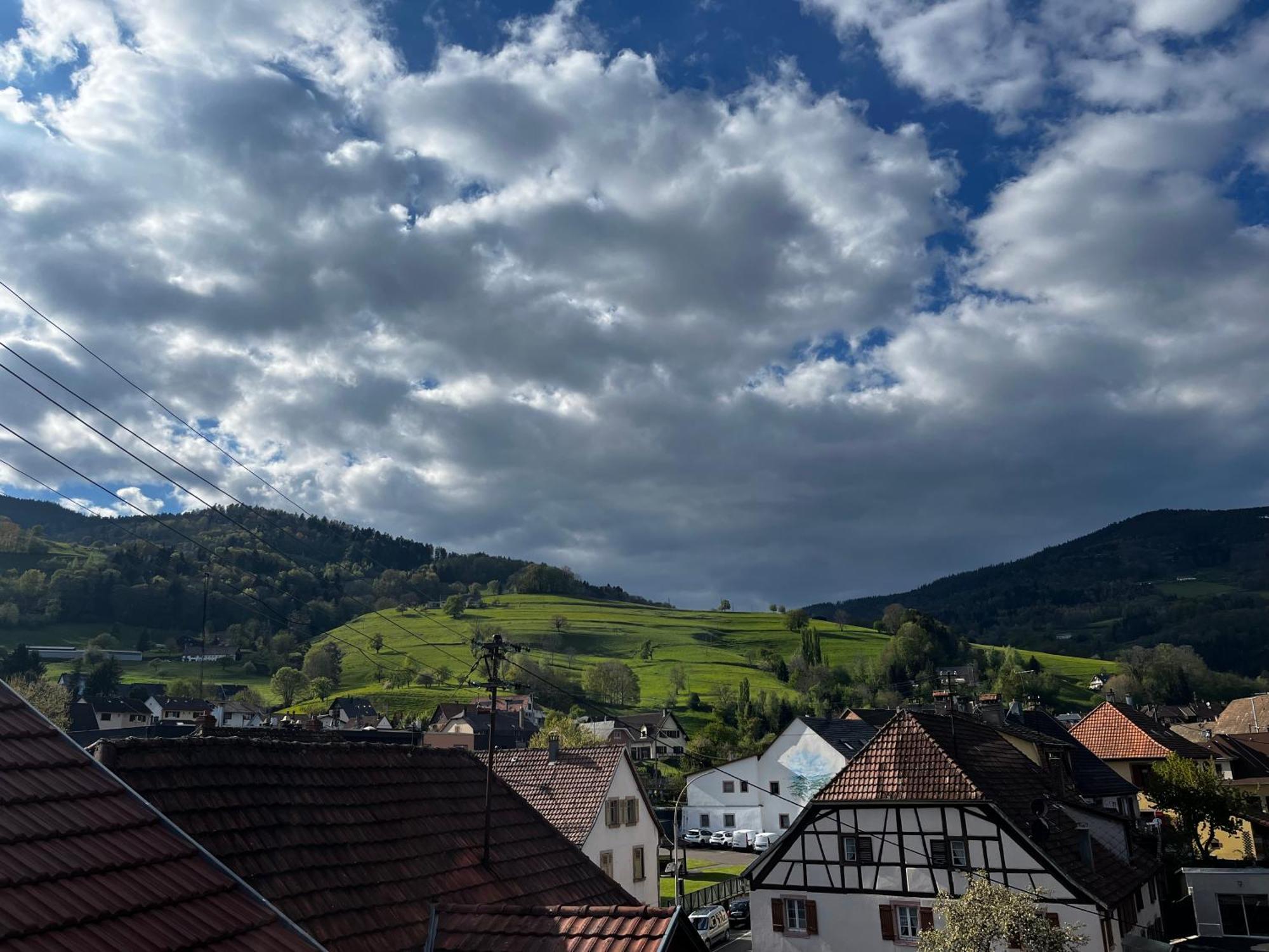 Proche De Colmar Et Kaysersberg Pour 10 Personnes Apartment *