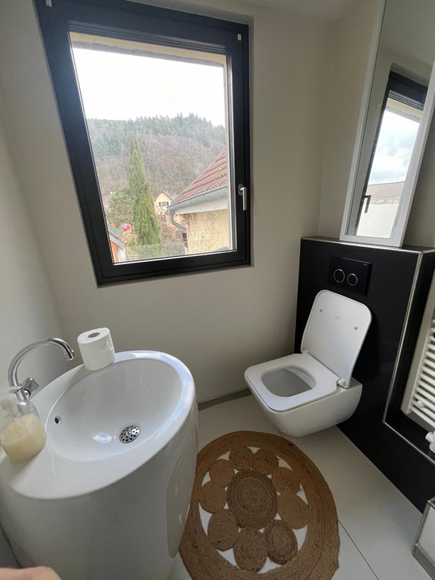 Proche De Colmar Et Kaysersberg Pour 10 Personnes Lapoutroie
