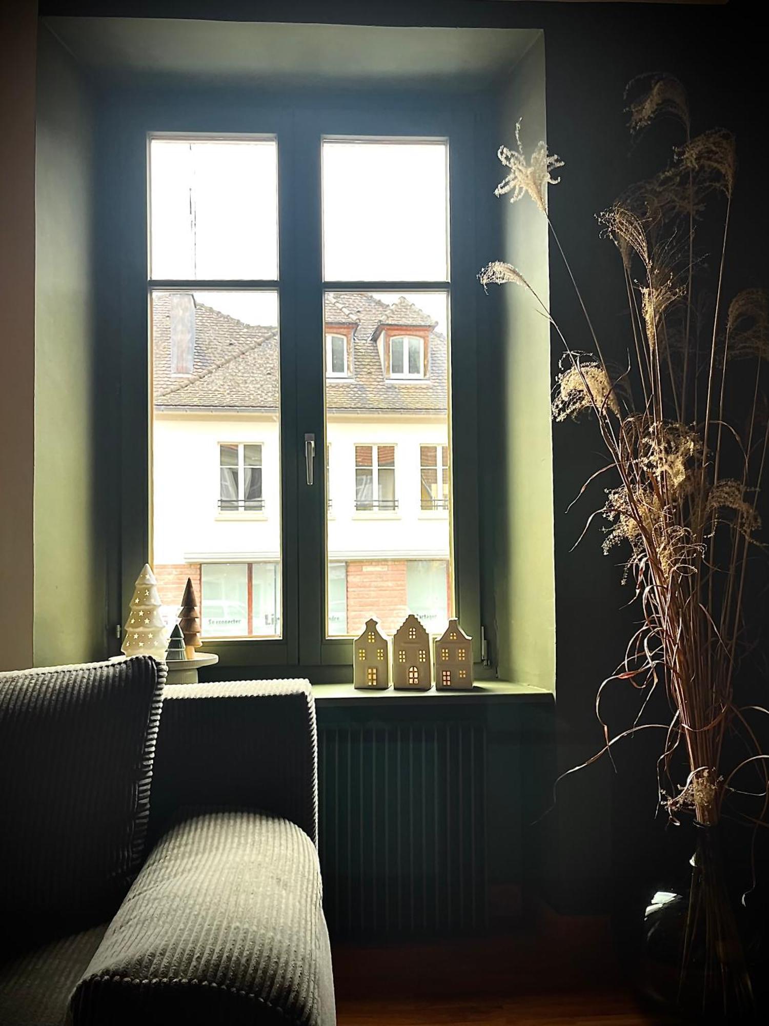 Apartment Proche De Colmar Et Kaysersberg Pour 10 Personnes